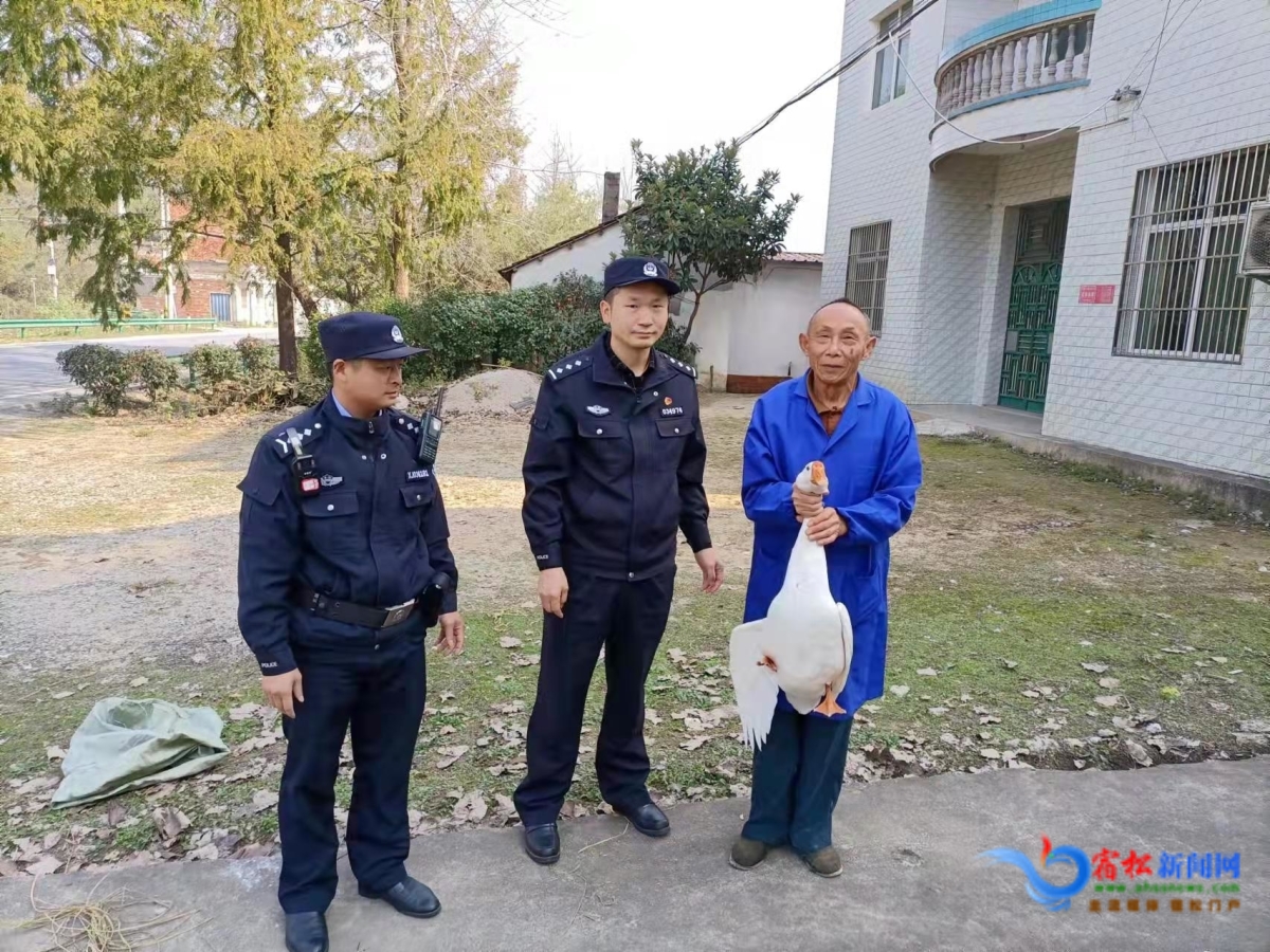 發(fā)還追回的大白鵝.jpg