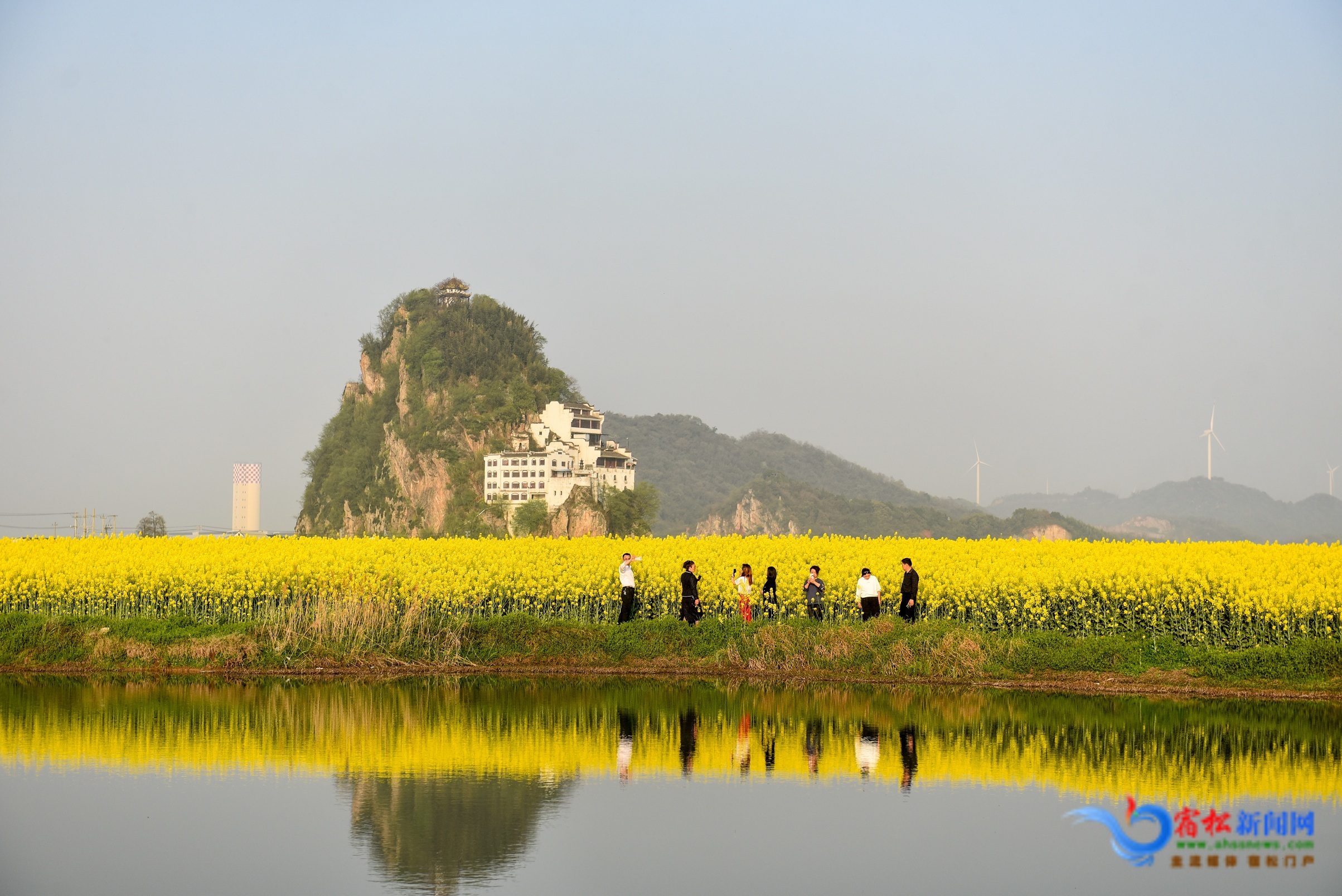 游客賞花 (3).JPG